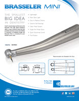 BrasselerMini-cover