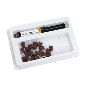Geristore® 10g Syringe Kit A3