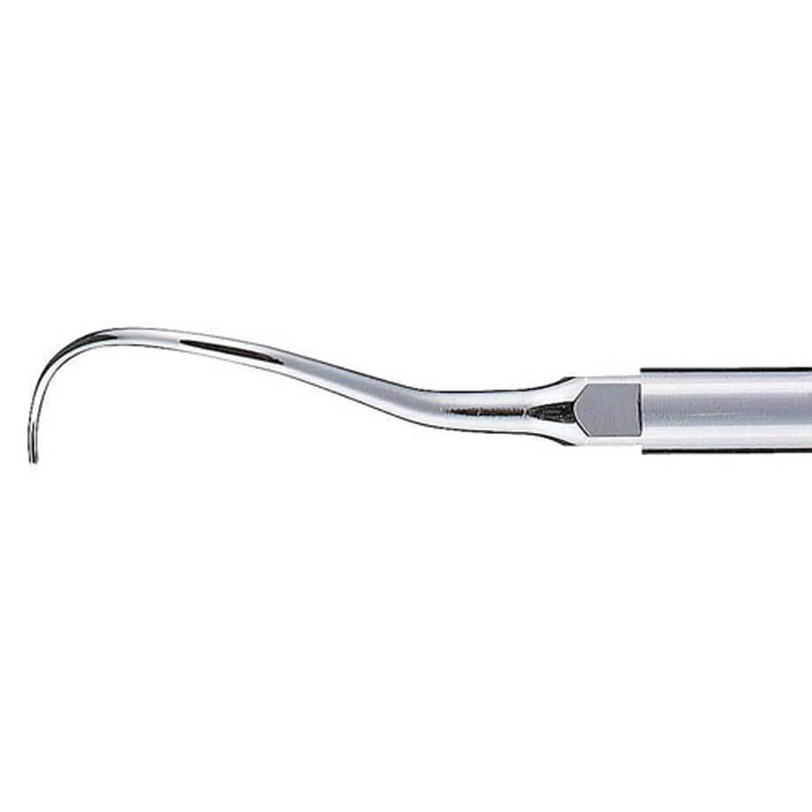 P25R Perio Tip ( Z217424B )