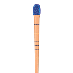 XP Gutta Percha and Paper Points